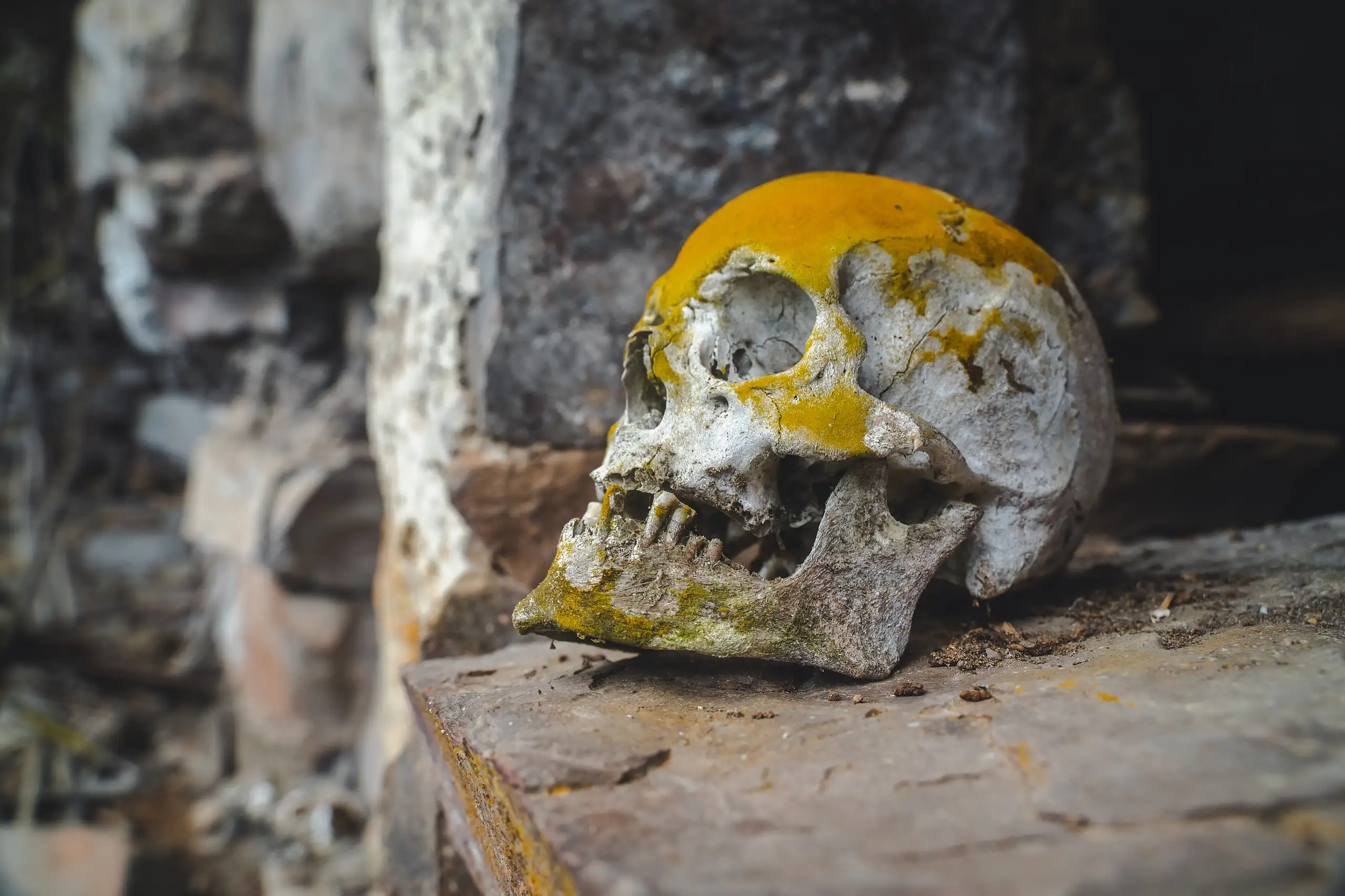 Close-up of a human skull patched with bright yellow lichen, resting on a stone shelf with blurred tomb walls behind, Laguna de los Cóndores, Amazonas, Peru