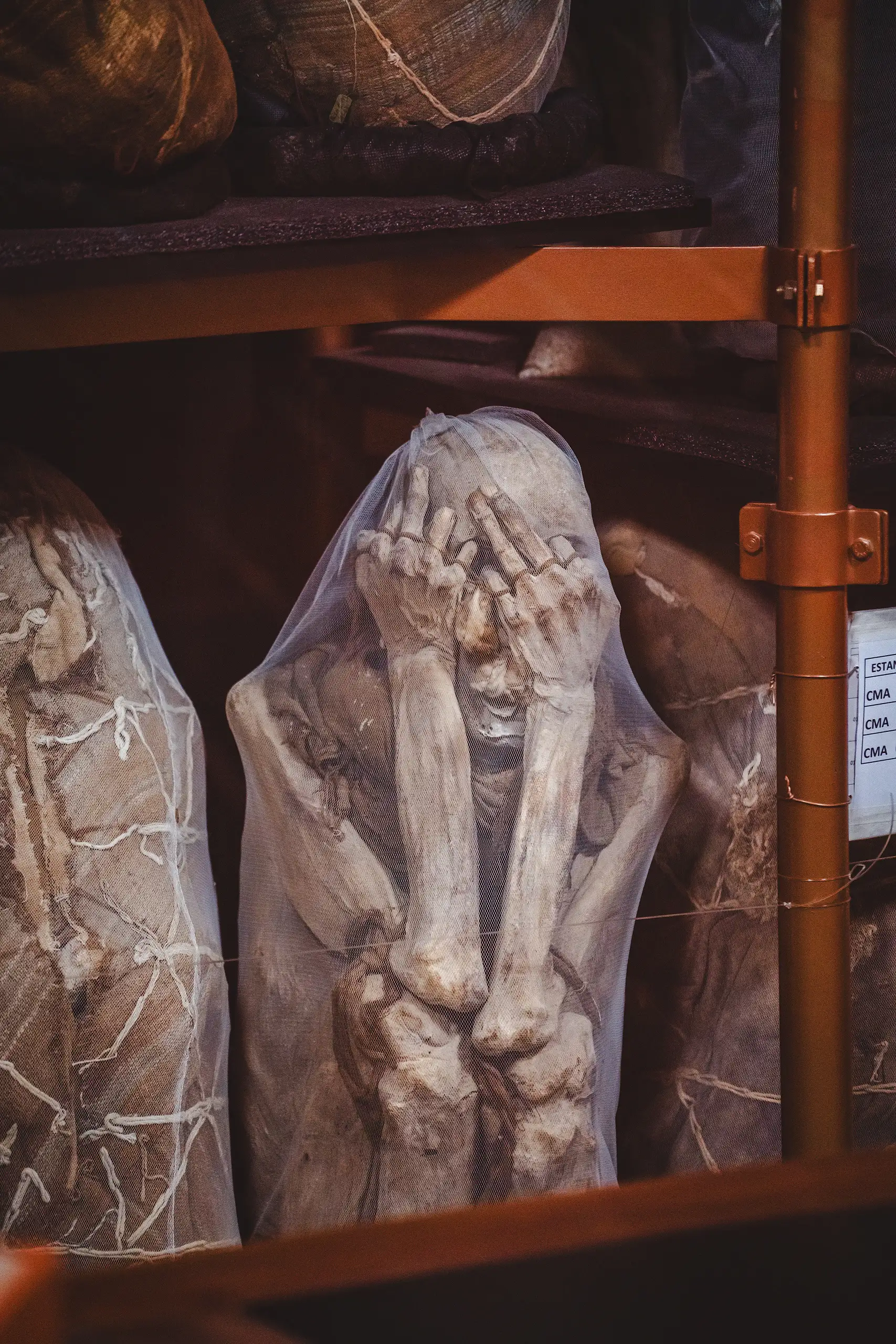 Vertical view of a seated mummy covering its face with both hands under protective netting, wrapped funerary bundles on shelves beside it, Museo Leymebamba, Amazonas, Peru