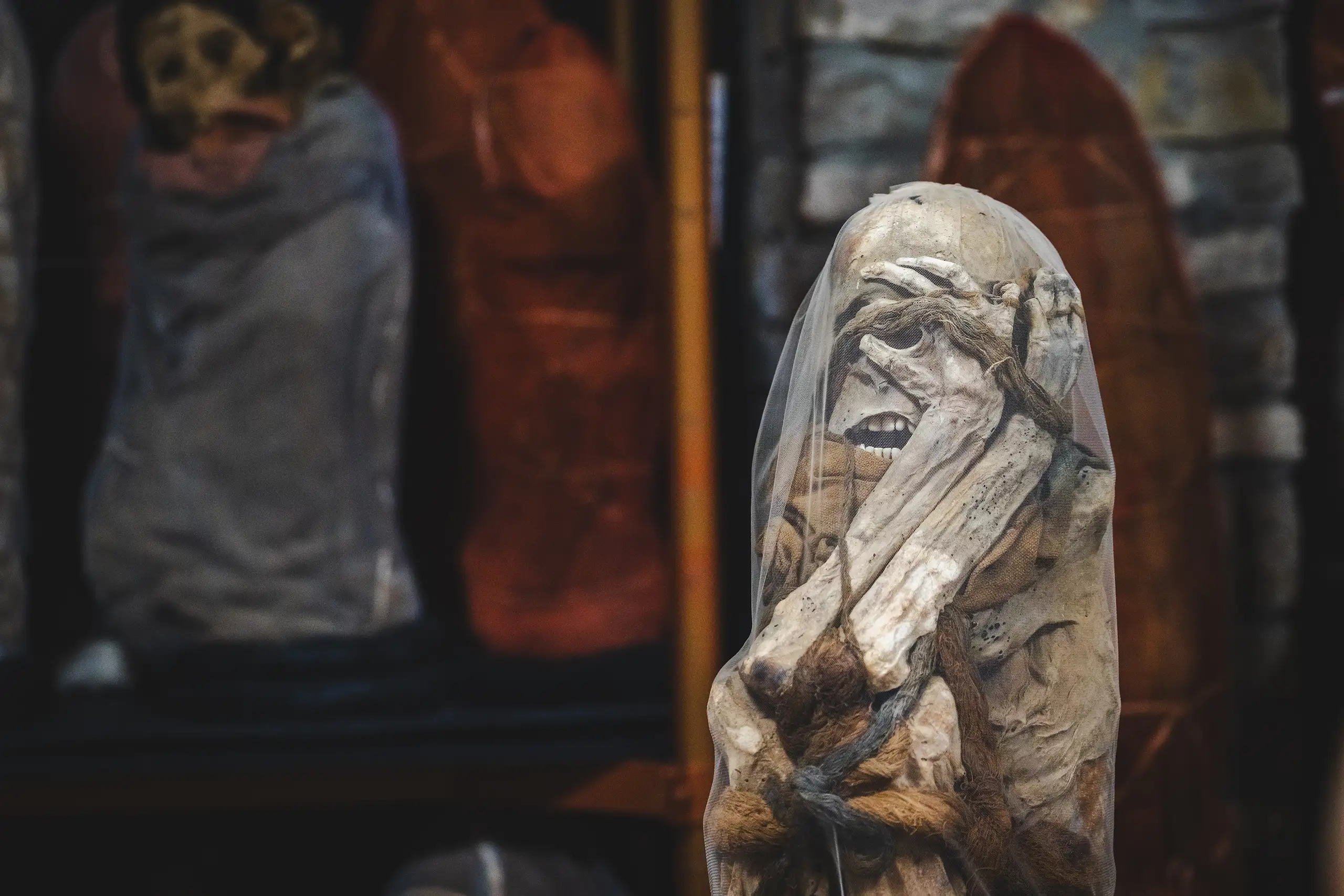 A mummy with hands pressed to its face, wrapped in netting, standing in front of shelves of textile-covered funerary bundles, Museo Leymebamba, Amazonas, Peru
