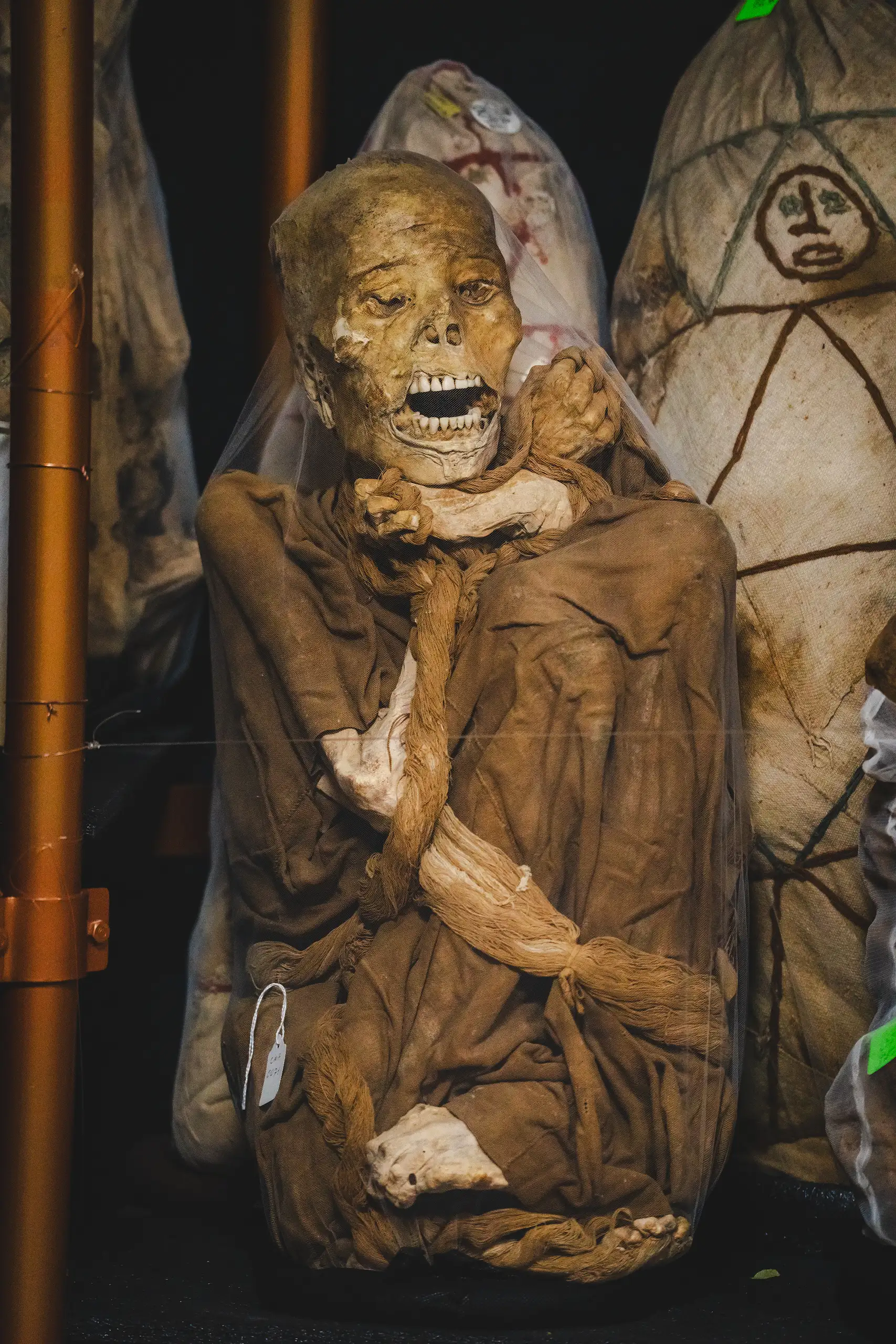Vertical view of a seated mummy wrapped in brown cloth with its mouth open, beside funerary bundles painted with simple faces, Museo Leymebamba, Amazonas, Peru