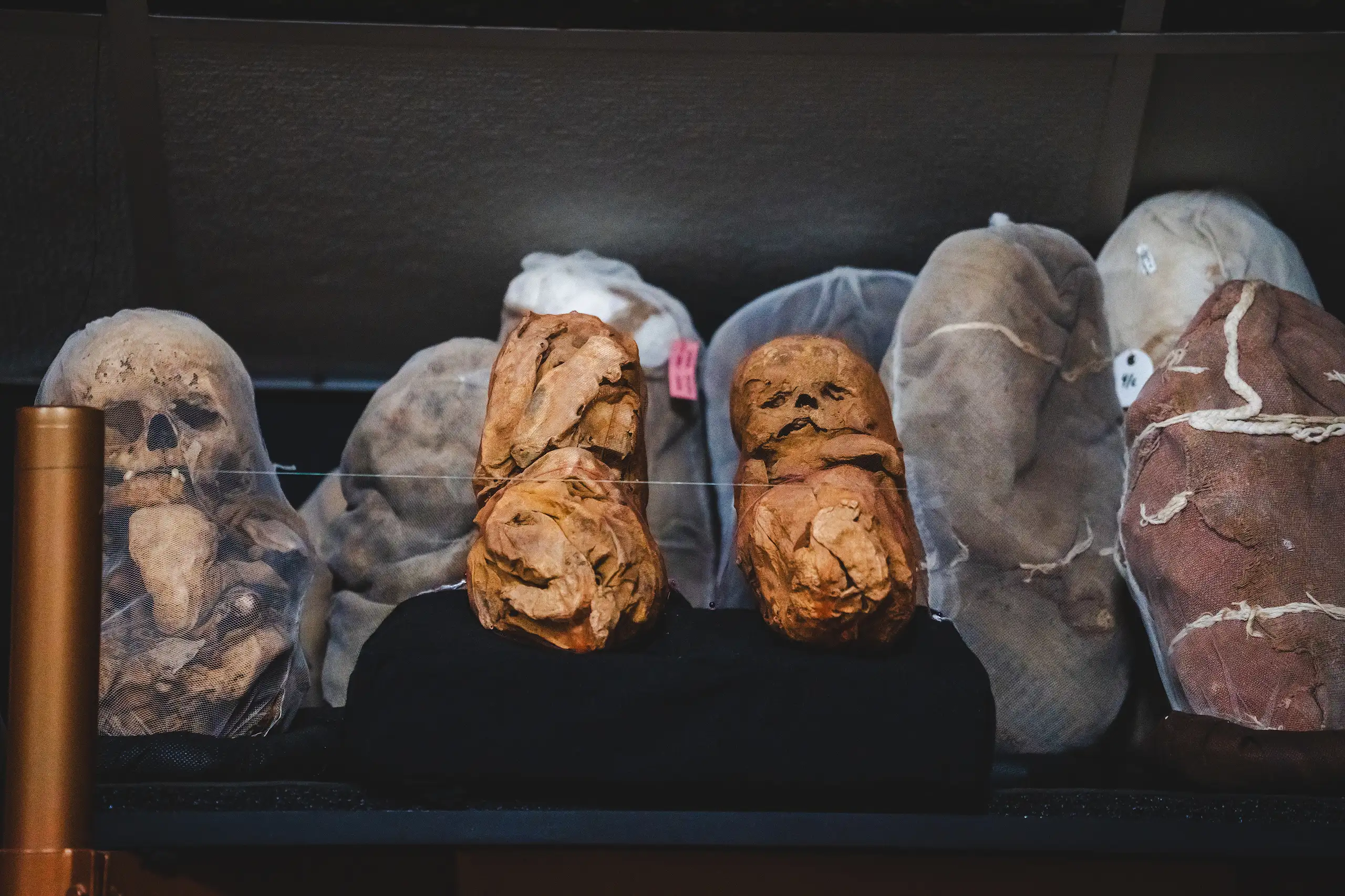 A row of mummies and cloth funerary bundles on a dark museum shelf, two mummified babies with exposed faces in the middle and several bundles wrapped in netting, Museo Leymebamba, Amazonas, Peru