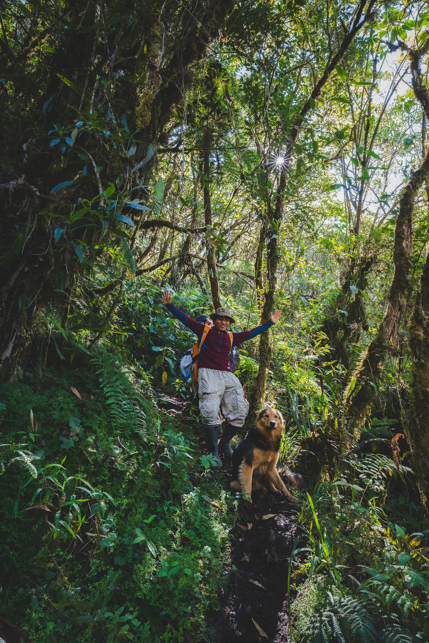 A hiker with arms raised on a muddy trail descending through thick cloud forest, a dog beside them among ferns and mossy trunks, Laguna de los Cóndores, Amazonas, Peru
