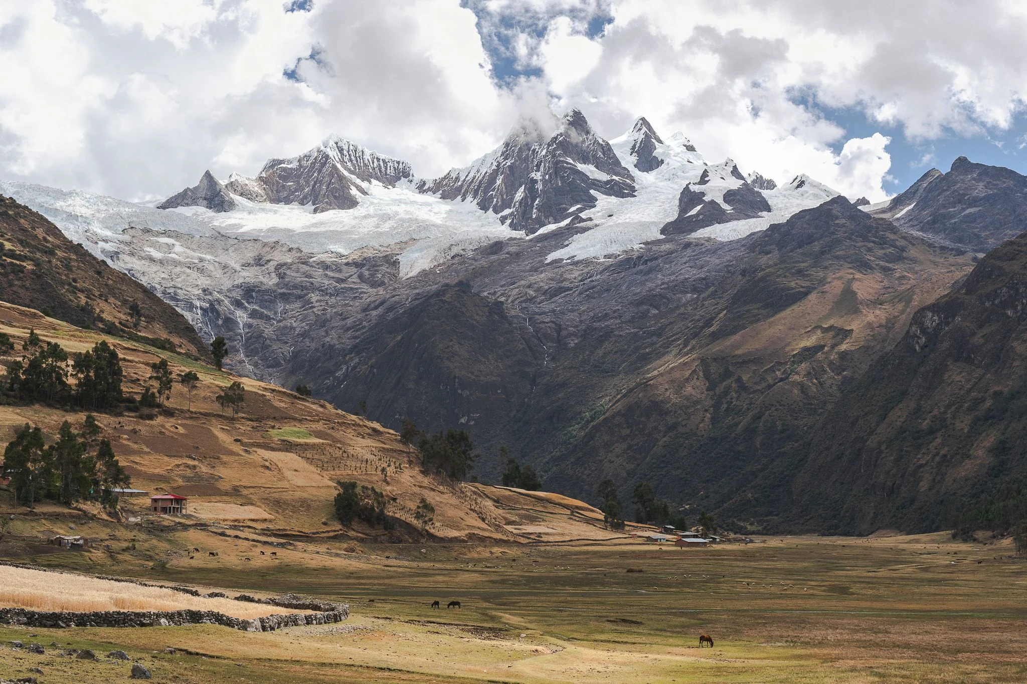 Farm plots, stone walls and grazing horses on the floor of the Jancapampa valley, the glaciers of Nevados Pucajirca in cloud above, Cordillera Blanca, Peru