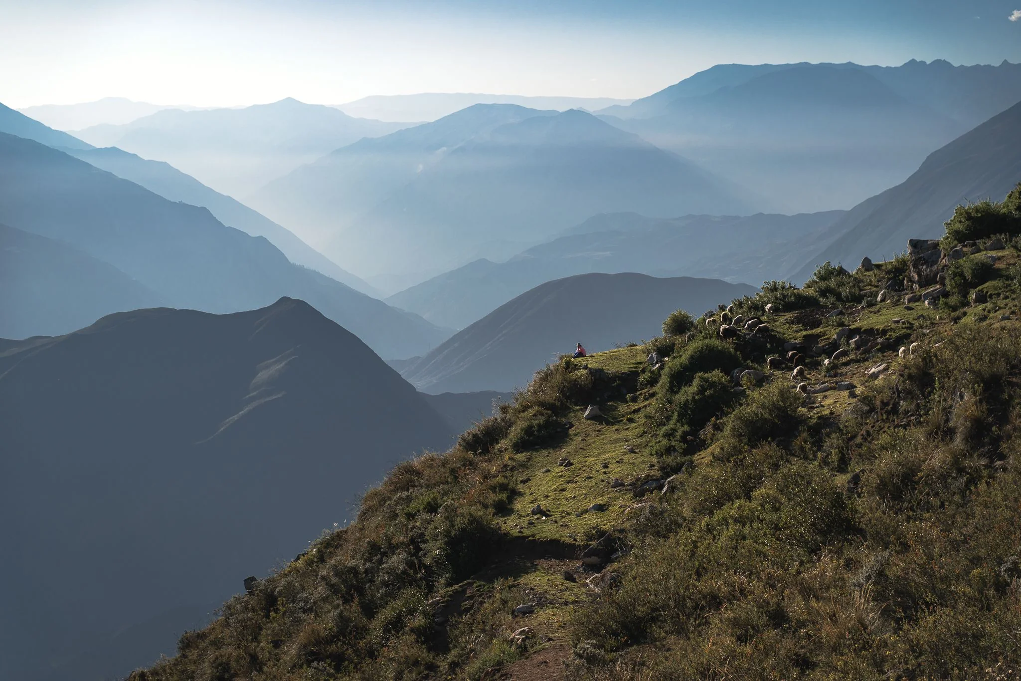 A woman sitting with her flock of sheep on a high green ridge at sunset, hazy valleys and ranges falling away behind, above the Cordillera Blanca, Peru