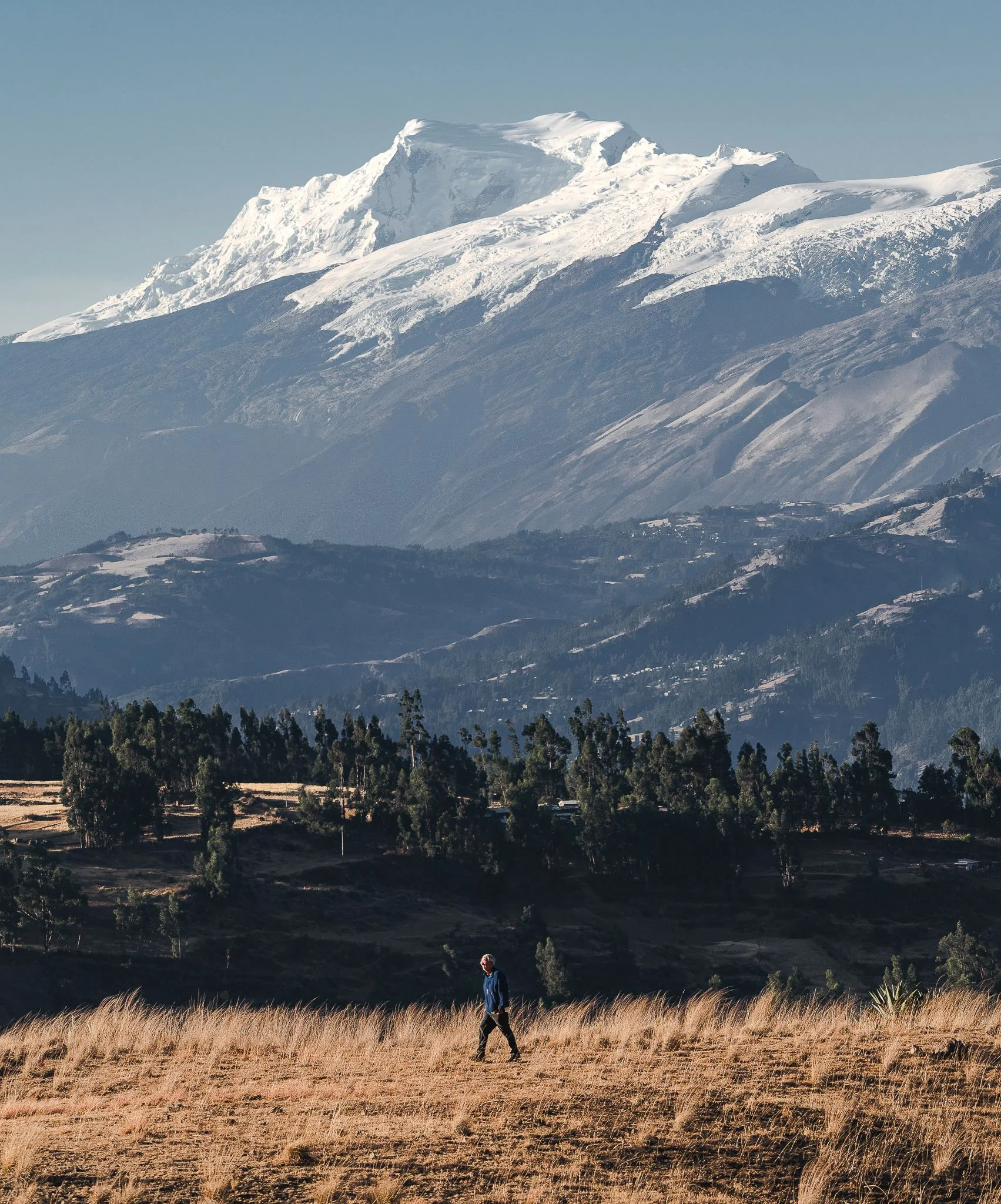 Jim Bartle walking through golden grass past a stand of trees above Huaraz, the snow-covered massif of Nevado Hualcán rising behind at sunset, Cordillera Blanca, Peru