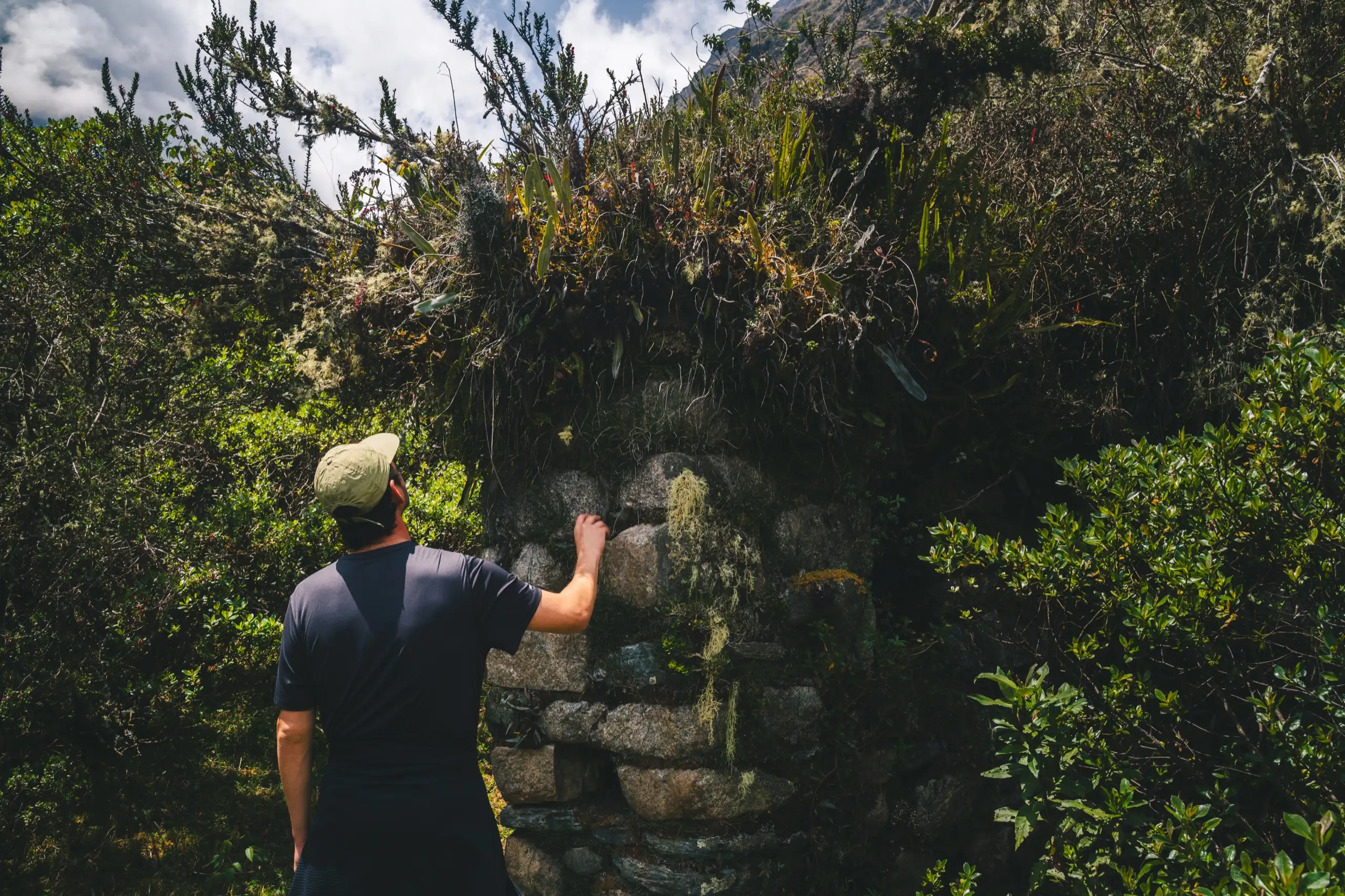 A man in a cap resting a hand on an overgrown Inca stone wall, thick green vegetation all around, Ahobamba Valley, Cusco region, Peru