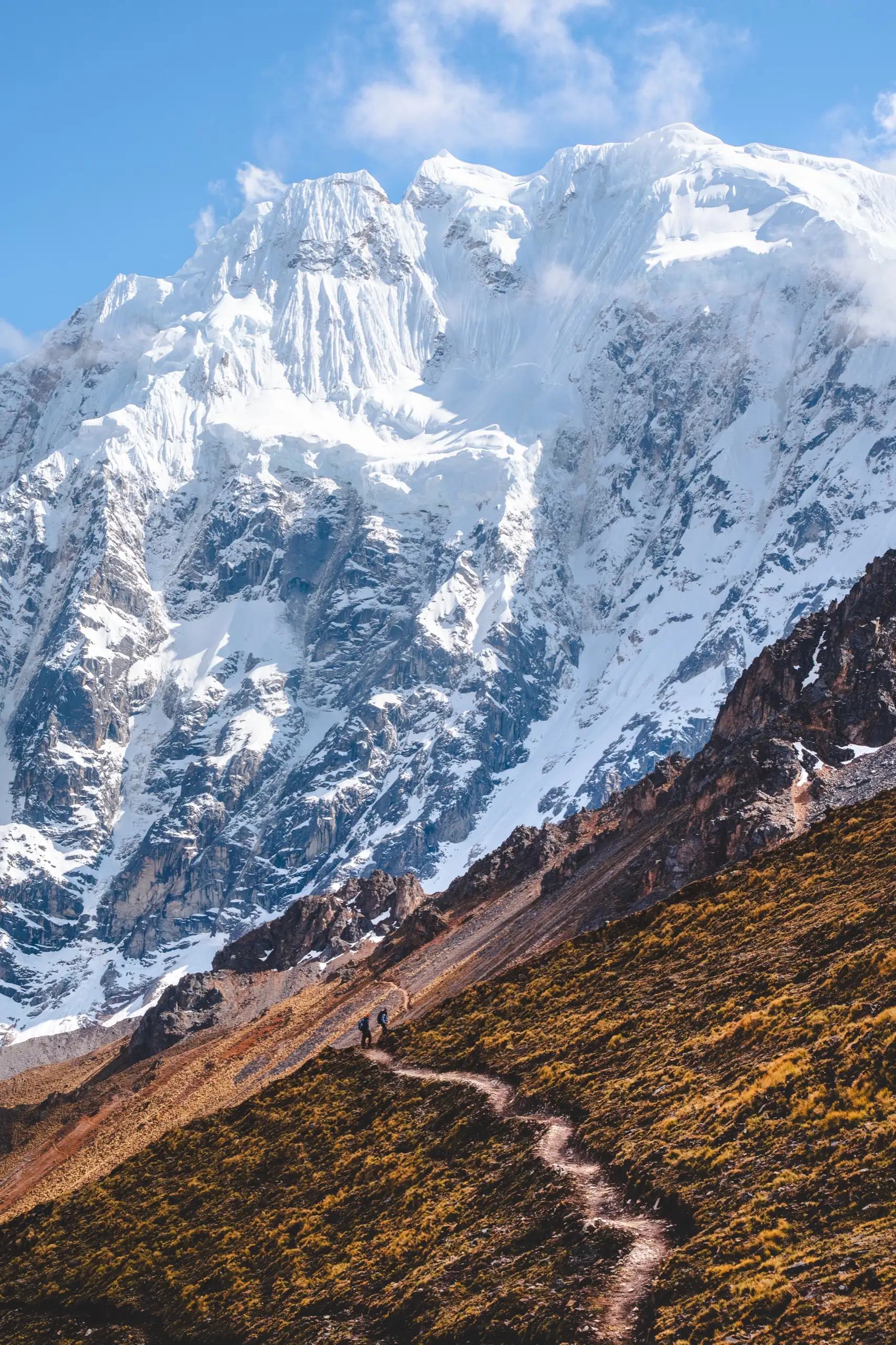 Vertical view of a trail zigzagging up a golden slope, tiny trekkers on it, beneath the fluted ice of Nevado Salkantay's south face, Nevado Salkantay, Cordillera Vilcabamba, Peru
