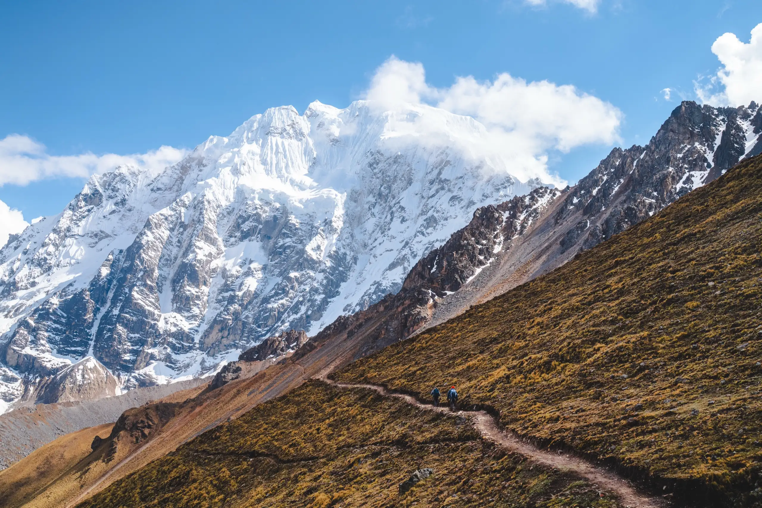 A trail winding across a golden grassy slope with small trekkers on it, the vast glaciated face of Nevado Salkantay and white cloud above, Nevado Salkantay, Cordillera Vilcabamba, Peru