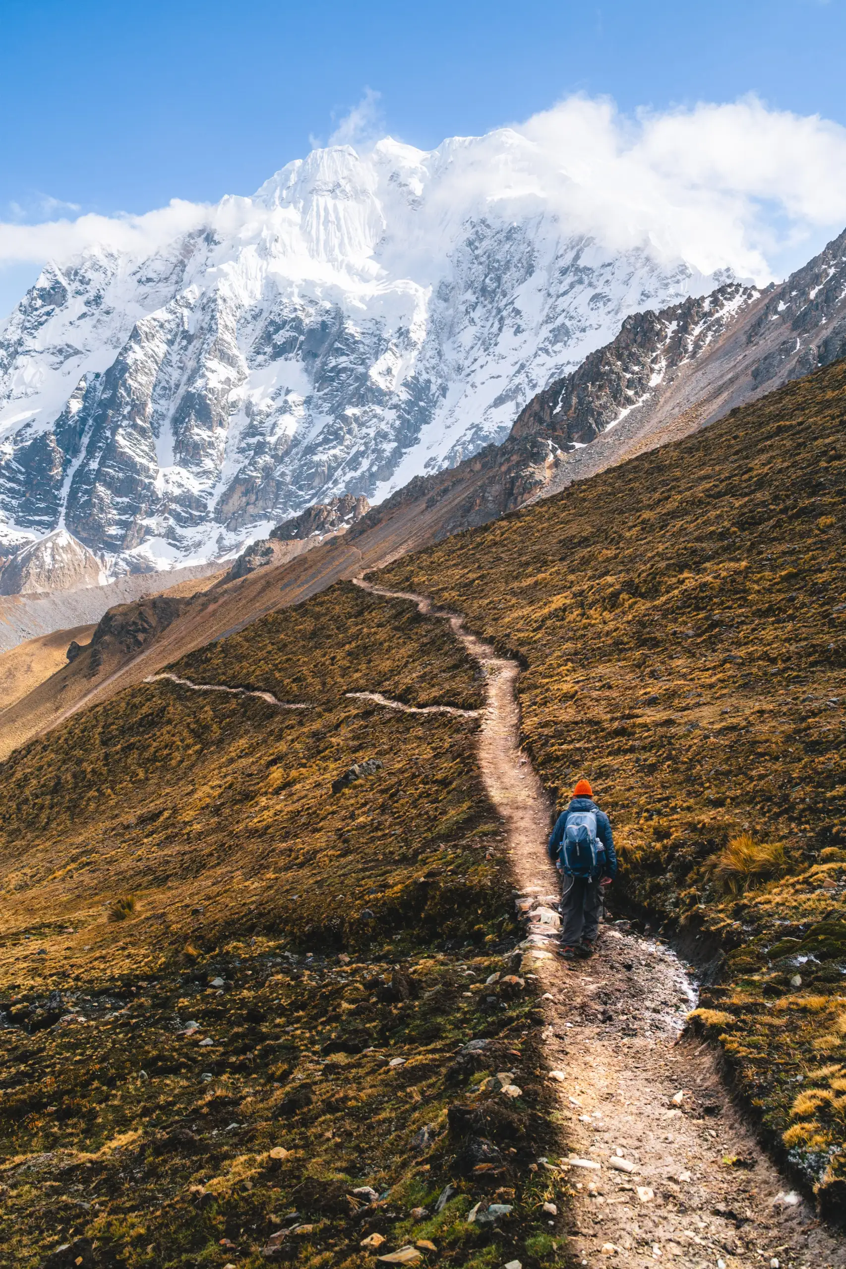 Vertical view of a trekker on a narrow trail through golden grass, the snow-covered flank of Nevado Salkantay behind, Nevado Salkantay, Cordillera Vilcabamba, Peru