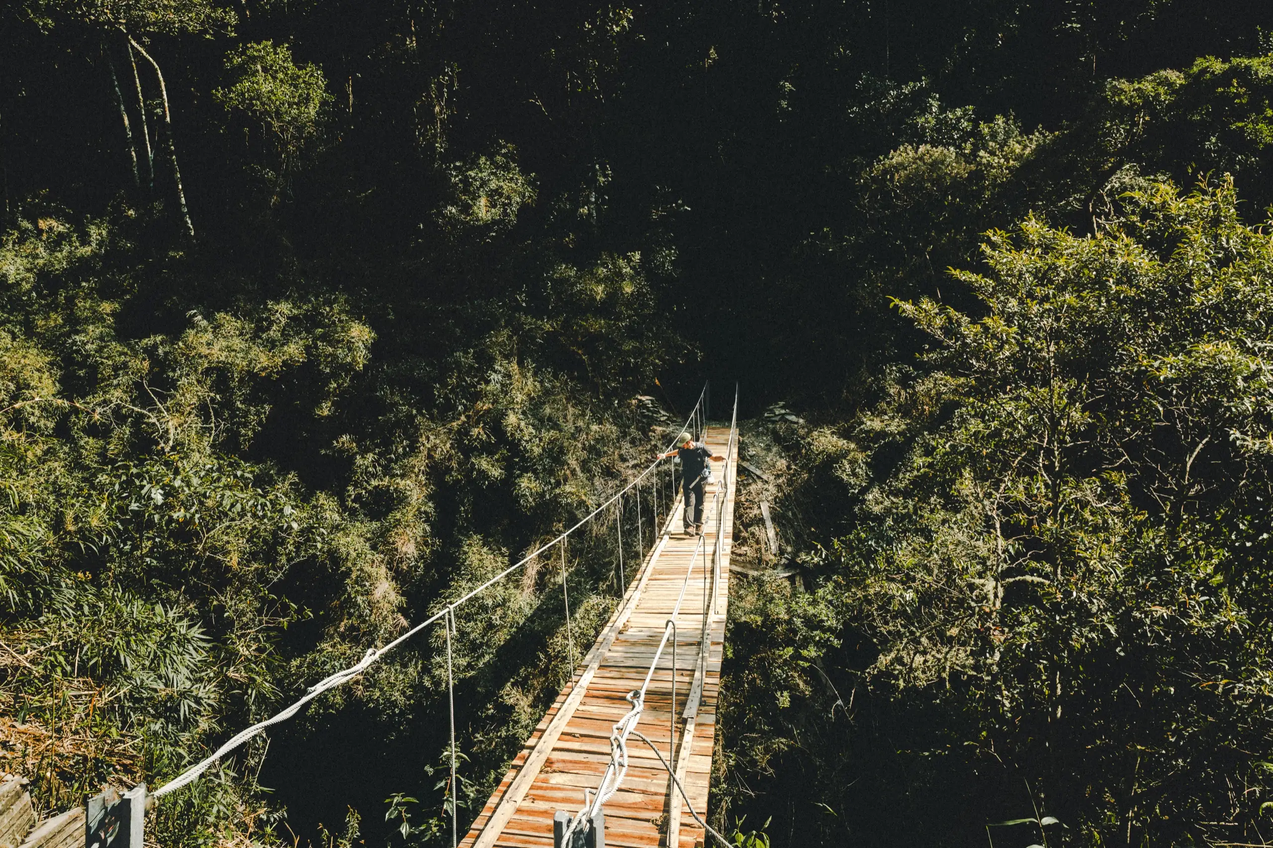 A trekker crossing a long wooden suspension bridge strung with cable through dense green forest, Ahobamba Valley, Cusco region, Peru