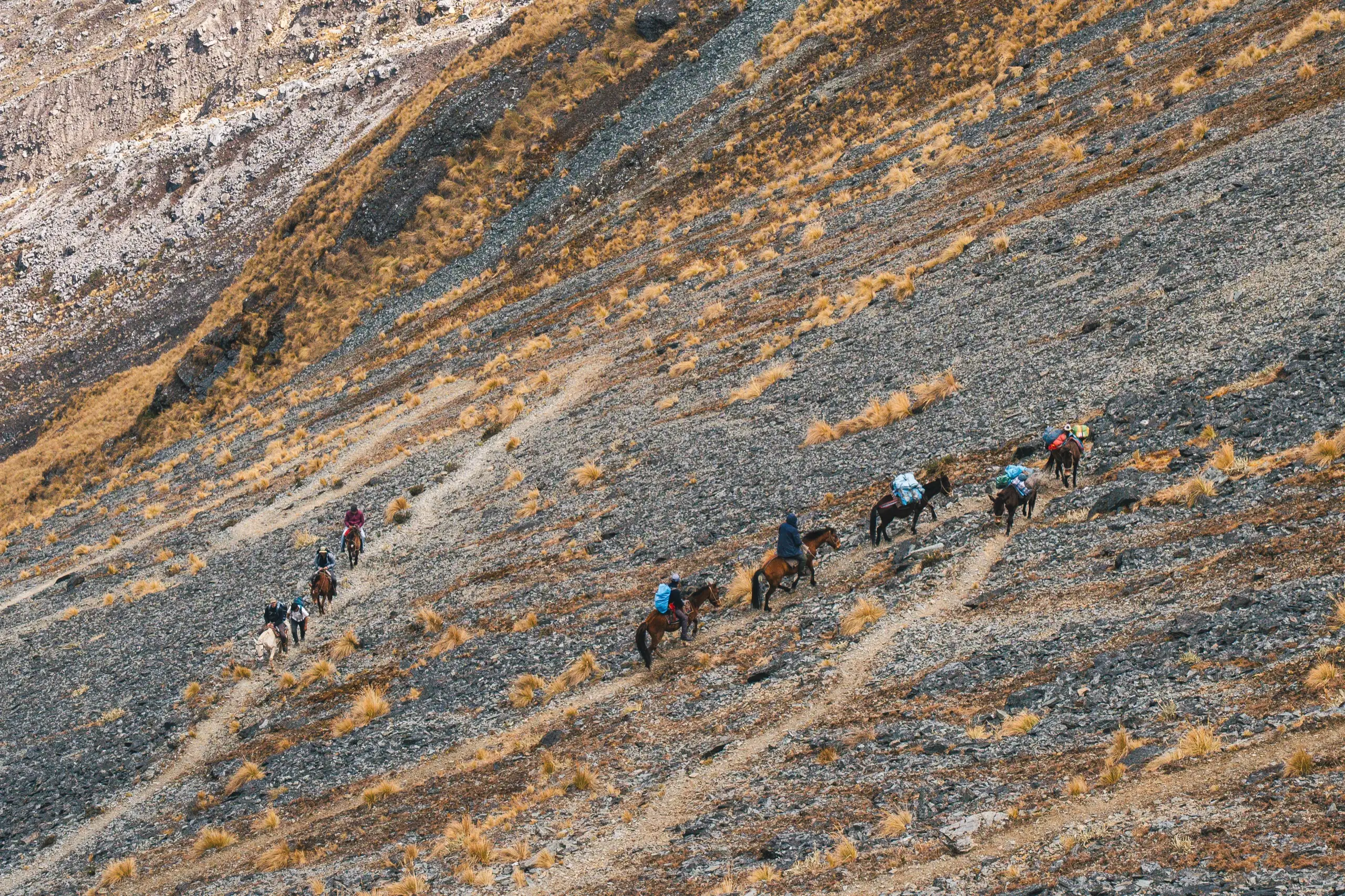 A line of riders and pack horses crossing a steep grey scree slope streaked with golden grass, Ahobamba Trek, Cusco region, Peru