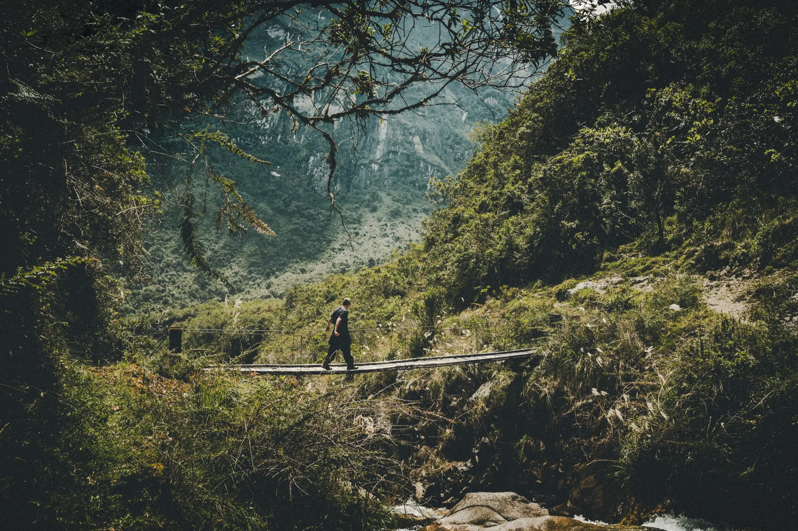 A trekker crossing a narrow log bridge over a stream in a lush green valley, moss-hung branches overhead and steep forested cliffs beyond, Ahobamba Valley, Cusco region, Peru