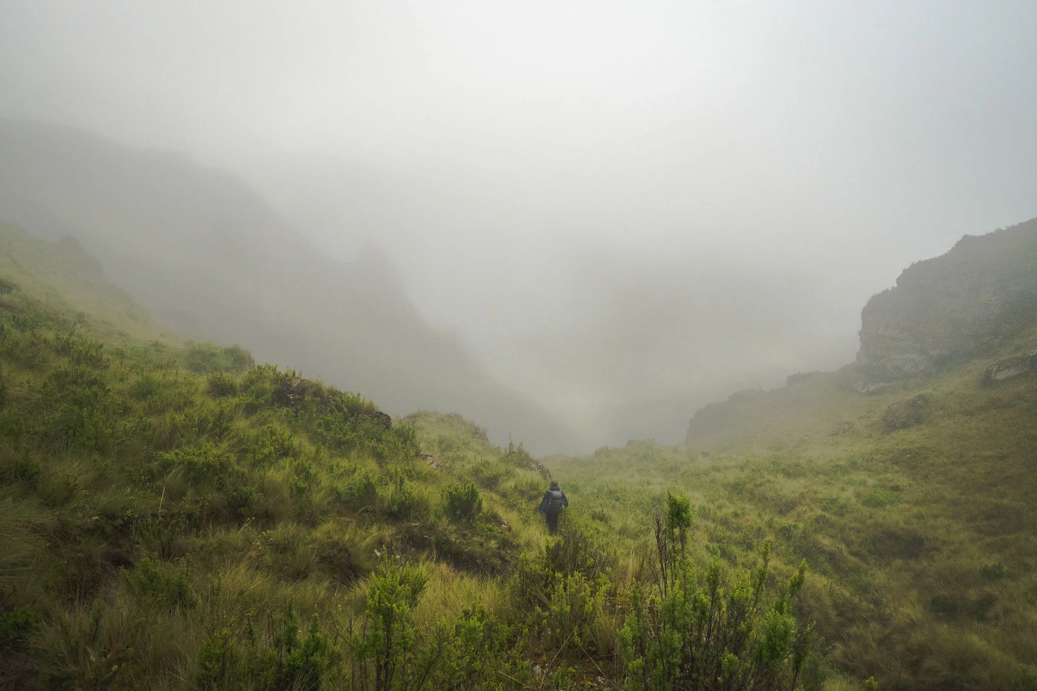 A trekker standing in tall grass as thick fog fills the valley and hides the slopes above, Ancascocha, Sacred Valley, Peru