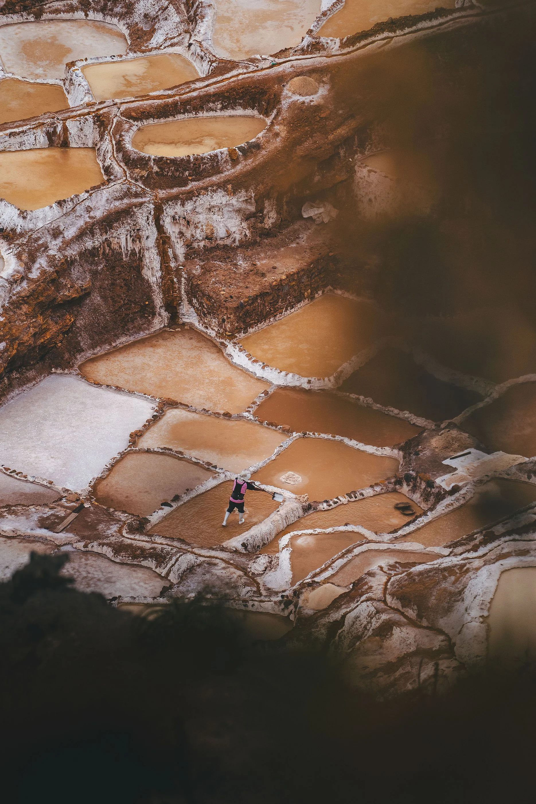 Looking down on a person with arms spread on the walls between brown and white salt pans, framed by out-of-focus foliage, Maras, Sacred Valley, Peru