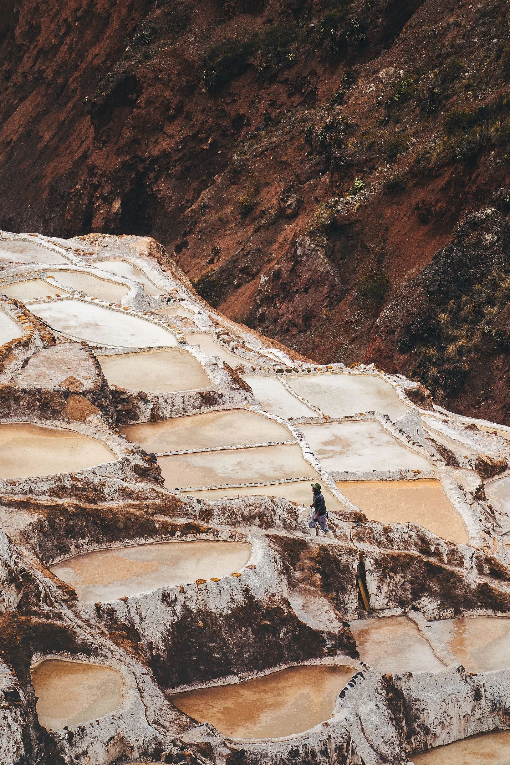 A person walking along the narrow white walls between shallow salt pans beside a steep red slope, Maras, Sacred Valley, Peru