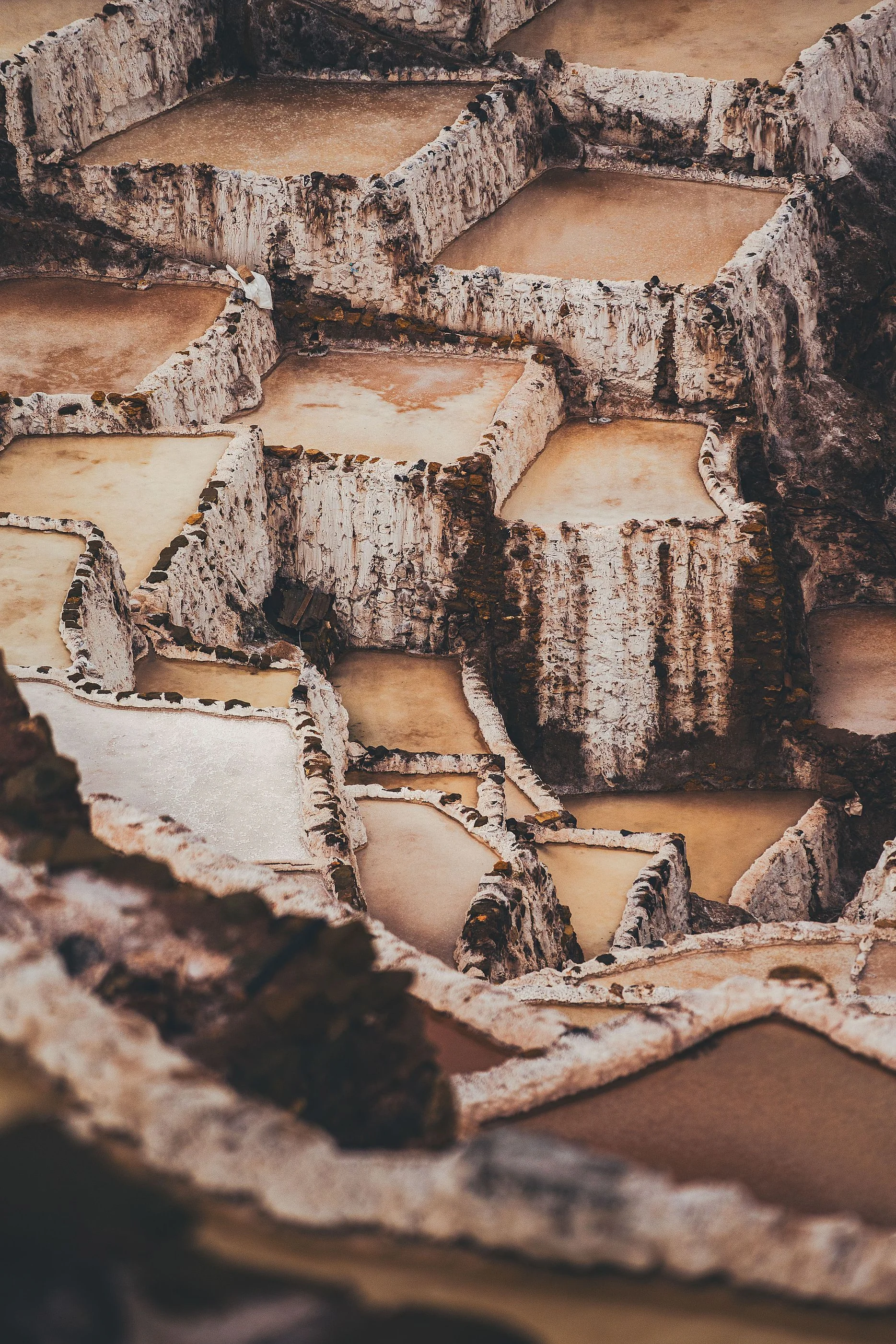 Close-up of salt pans stepping down a slope, their walls crusted white and brown, the nearest edge out of focus, Maras, Sacred Valley, Peru
