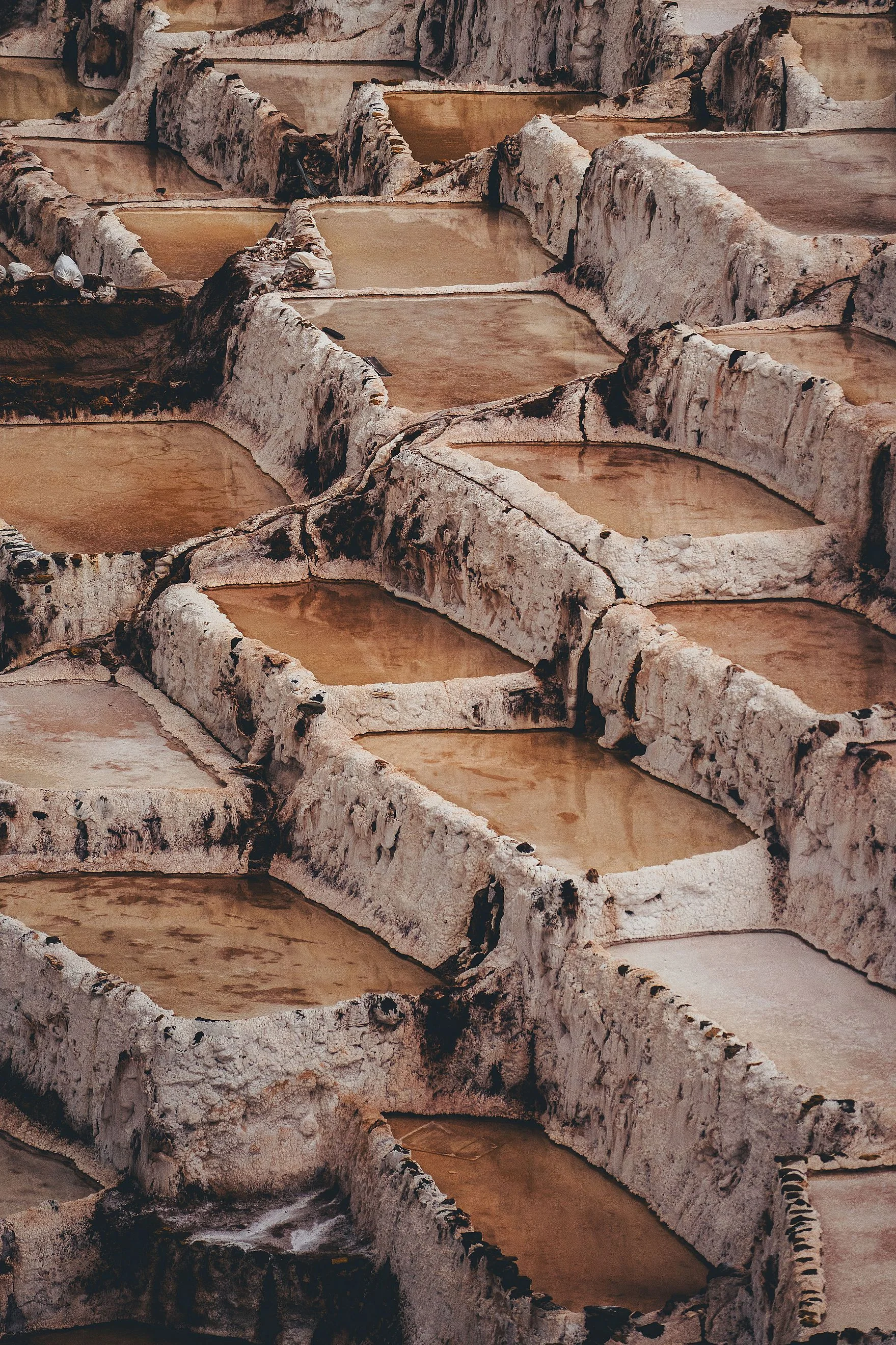 Close view of rectangular salt pans with crusted white walls and shallow brown water, Maras, Sacred Valley, Peru