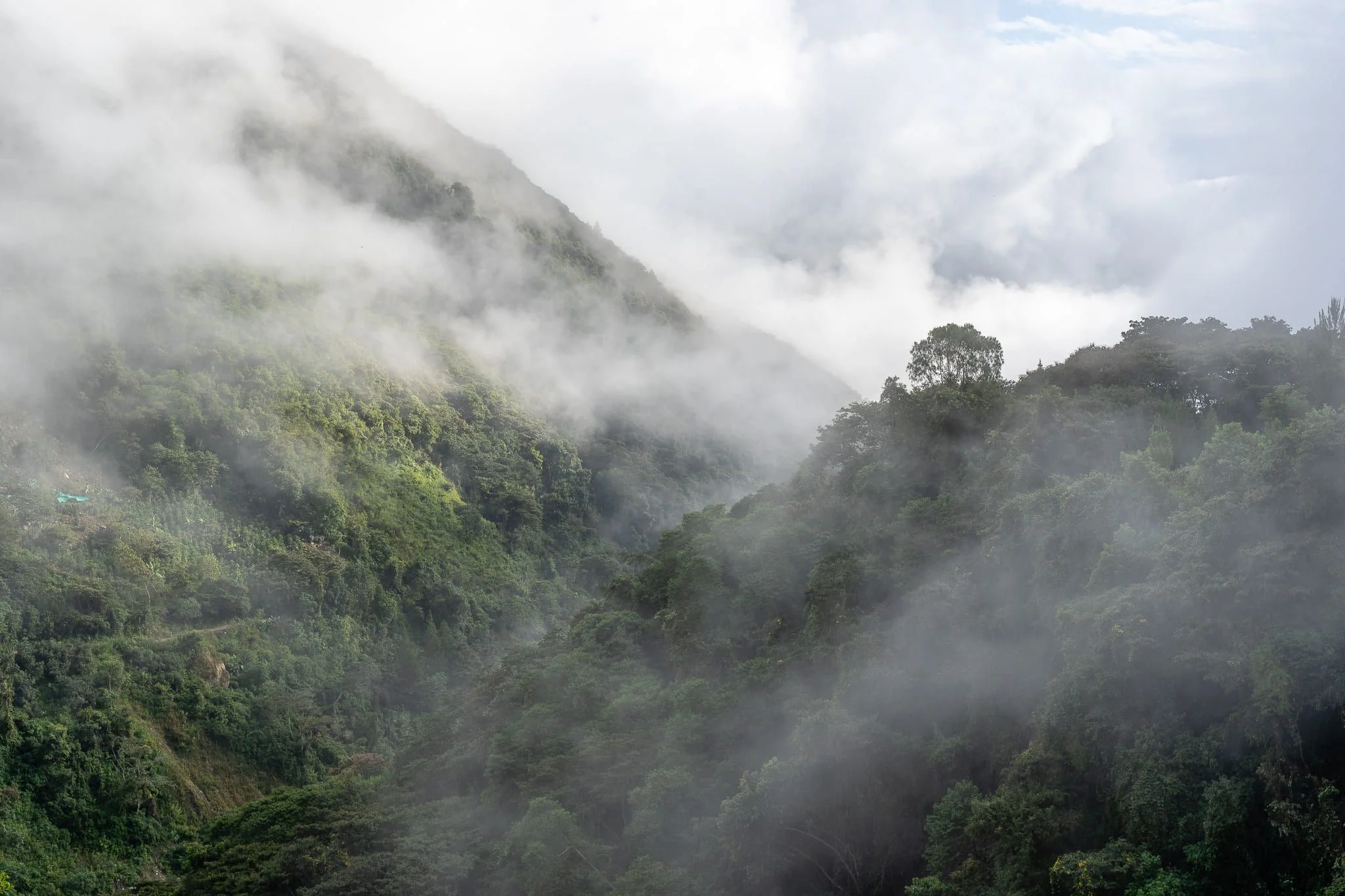 Mist and cloud drifting over steep slopes covered in dense green forest, Sacred Valley, Peru